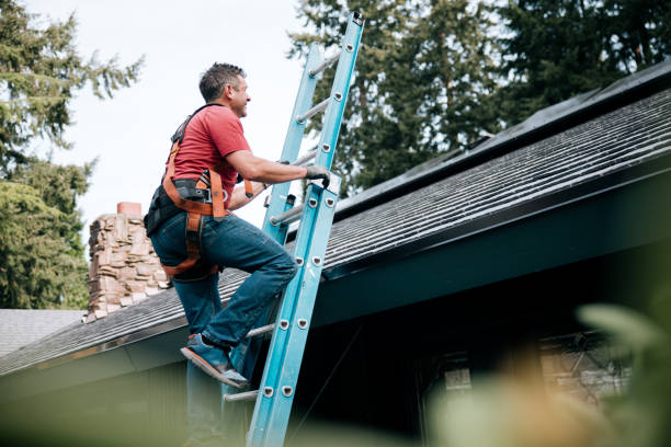 Best Roof Maintenance and Cleaning  in Brentwood, PA